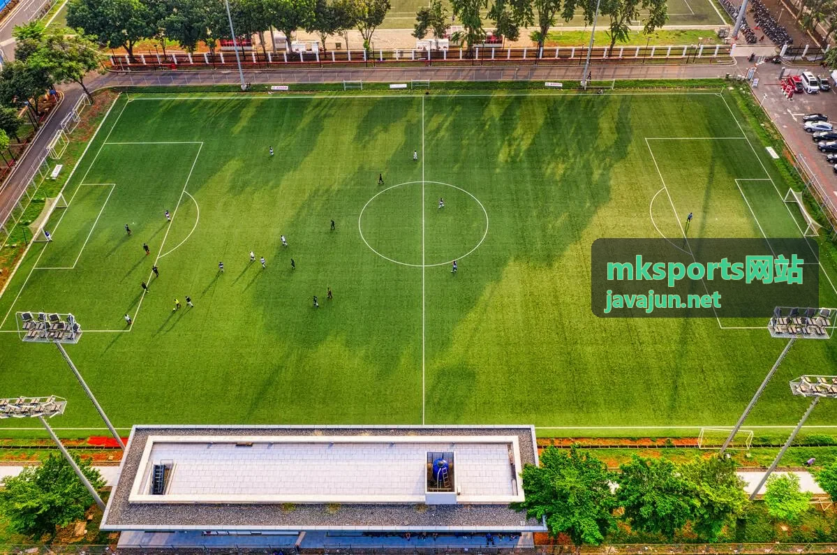 mksports网站恢复管理与疲劳记录