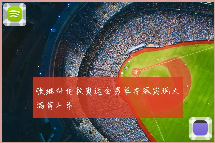 张继科伦敦奥运会男单夺冠实现大满贯壮举